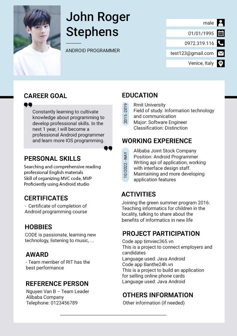 Programmer CV